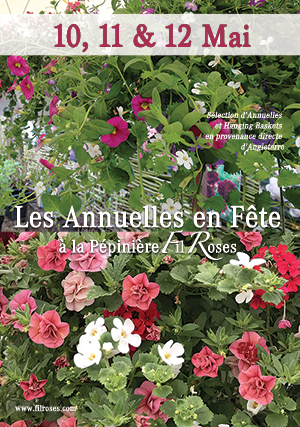 Annuelles en Fete