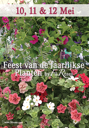 Feest van de Jaarlijkse Planten