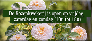Opening Hours FilRoses