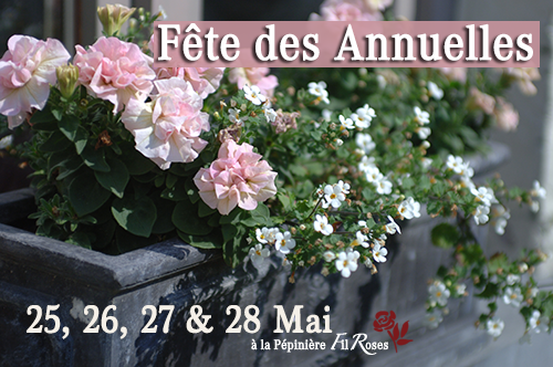 Fete des Annuelles