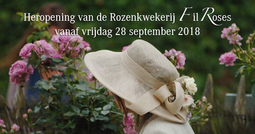 Heropening Rozenkwekerij FilRoses