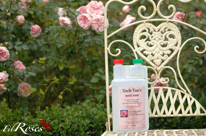 Uncle Tom's Rose Tonic