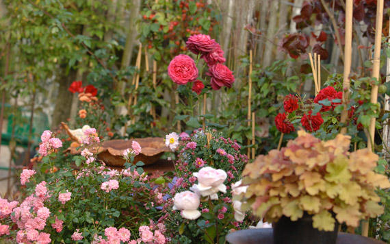 Decors Automne