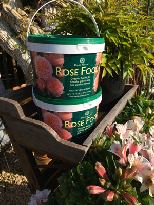 David Austin Rose Food