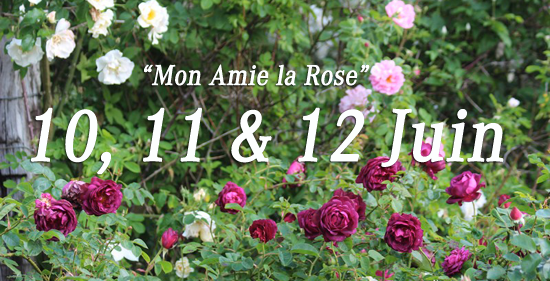 Portes Ouvertes Au Fil des Roses